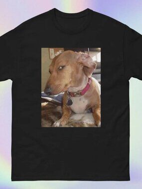 Funny Dog Shirt, Humor Dog Graphic Tee, Dog Lover Gift